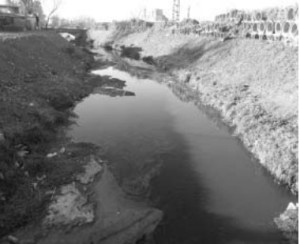 imagen del Arroyo del Rey